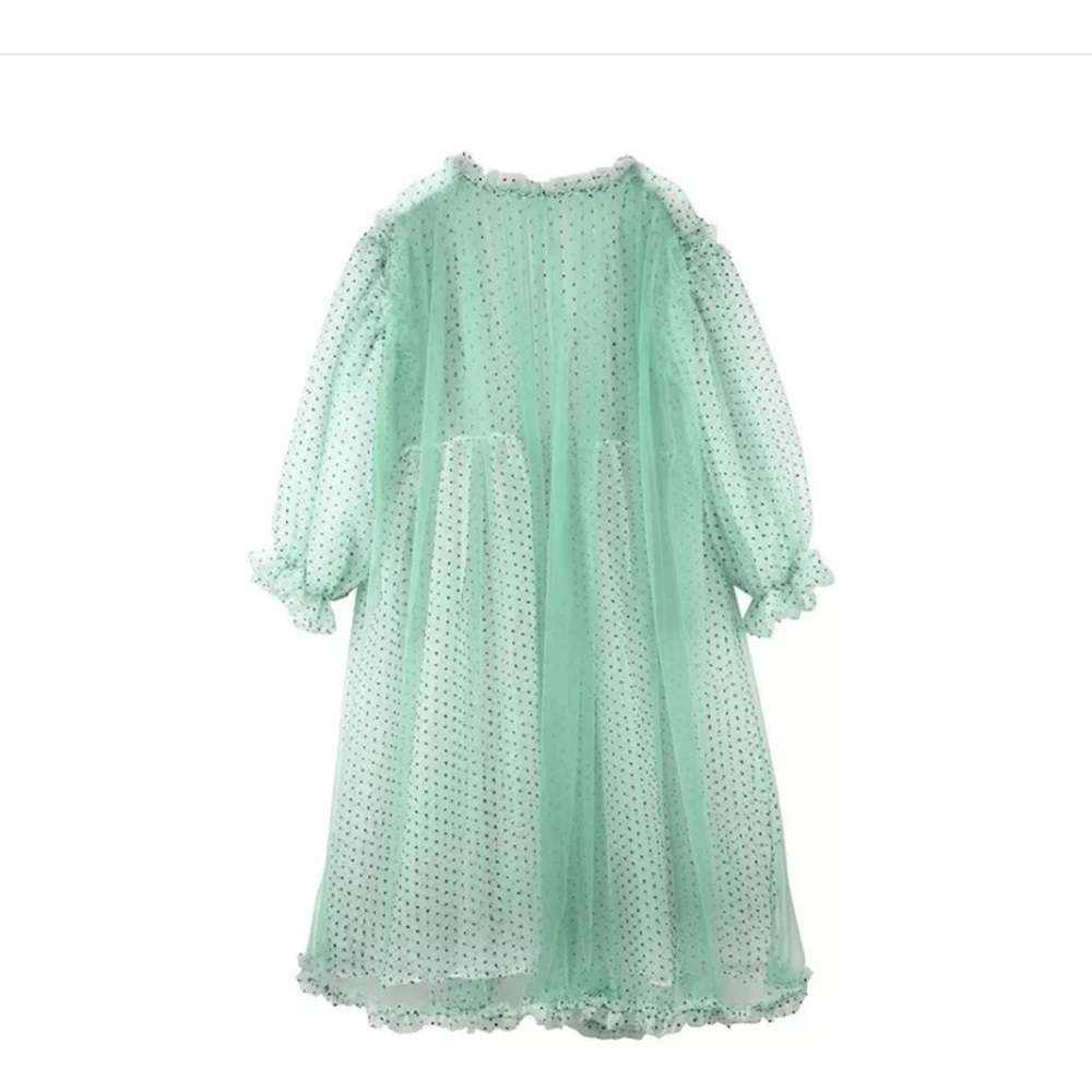 Mint Duster - Picture 3 of 3